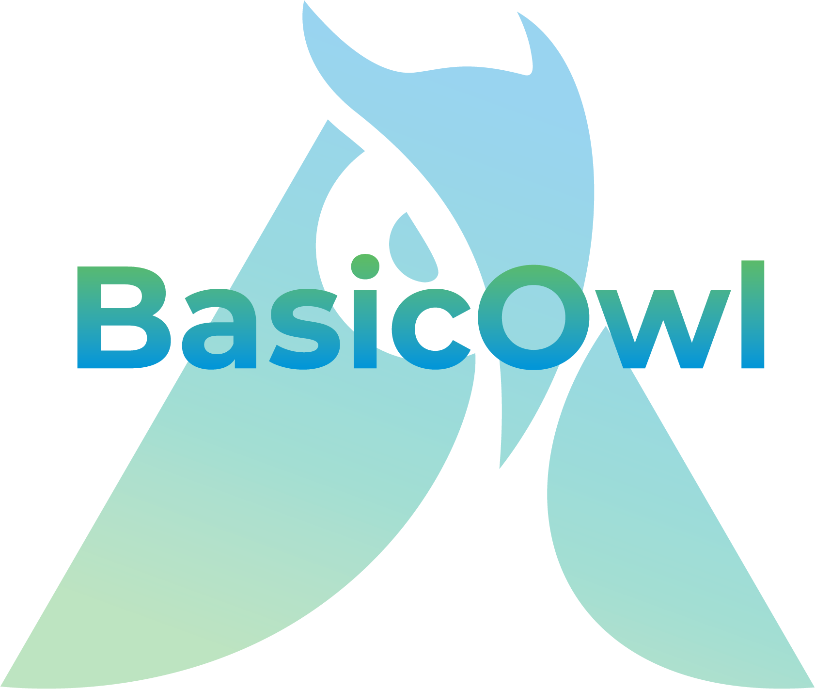 Basic Owl Design